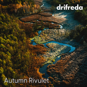 女人的㊙️被男人桶爽网站
