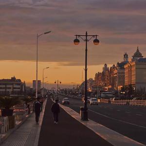 女人的㊙️被男人桶爽网站
