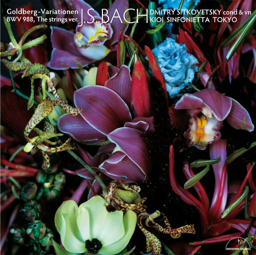 女人的㊙️被男人桶爽网站
